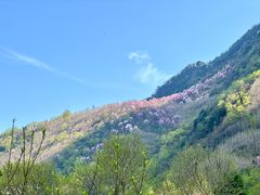 -九皇山景区