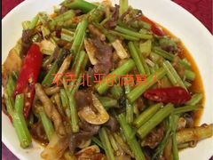 -易老妈蹄花.特色川菜(人民公园总店)