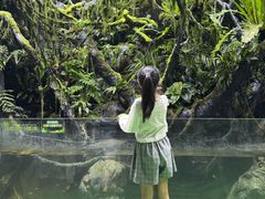 -海合安成都极地海洋公园