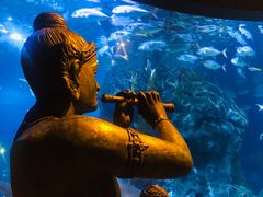 -暹罗海洋世界