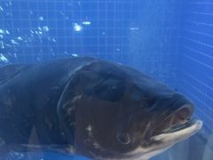 -香山湖渔家大院