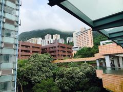 -香港大学