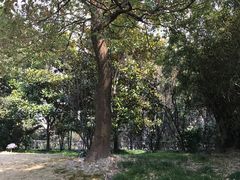 -苏州河梦清园环保主题公园