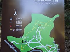 -上海佘山国家森林公园天马山园