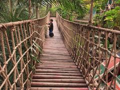 -呀路古热带植物园