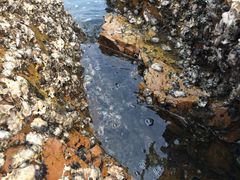 -青岛第一海水浴场