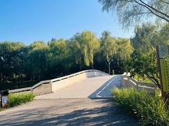 -东郊湿地公园