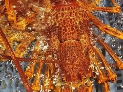 -吴记富苑(朝阳店)