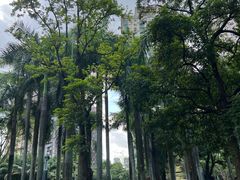 -四海公园(南山区)