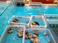 -艳阳天·非遗楚菜(武汉客厅店)