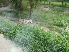 -沈阳森林动物园