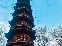 -上海佘山国家森林公园西佘山园