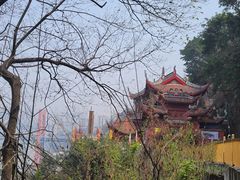 -龙泉洞(沙坪坝区)