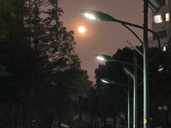 -上海财经大学-武东食堂