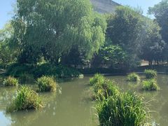 -圩墩遗址公园