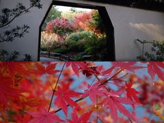 -汇龙潭