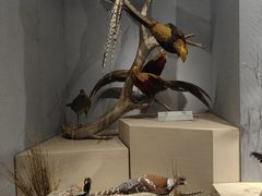 -武汉园博园(武汉自然博物馆)