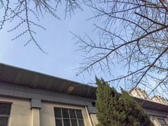 -东丽温泉羽毛球