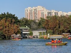 -荔湾湖公园