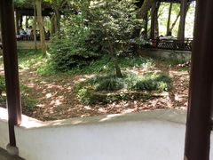 -上海佘山国家森林公园天马山园