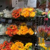 全球旗舰店[得意]北京首家优衣库花店🌹[礼花]绿啦❗️
