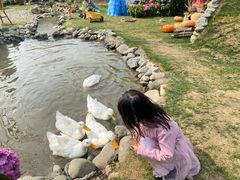 -HERRE·FARM 赫尔露营农场·团建聚会包场