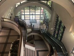 -香港大学