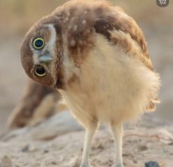 -Oasis Beauty水磨坊科技美肤中心