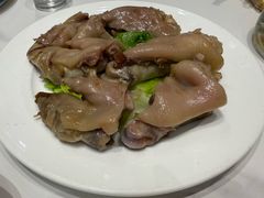 -丁老爷子苏香圆