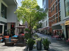 -Seesaw Coffee(上生新所店)