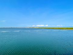 -大湾区中央湿地公园