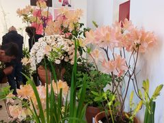 -上海植物园-4号门售票处