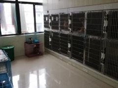 -宠颐生宠物医院·骨外科·犬猫全科诊疗中心(池州店)