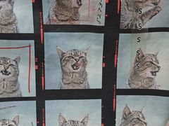 -优衣库(北京万柳华联购物中心店)