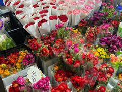 -三圣花乡旅游区