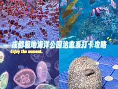 -海合安成都极地海洋公园
