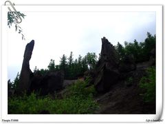 -峡谷浮石林景区