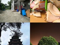-金水泊山庄·花椒鸡(铁山坪店)