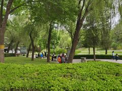 -元大都城垣遗址公园