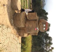 iphone_upload_pic-黄色小屋