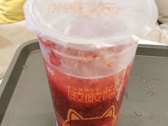 -啵啵喵·猫咖(攀华国际店)