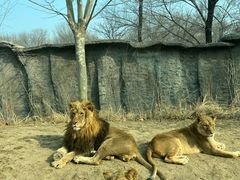 -北京野生动物园