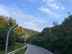 -树山生态村