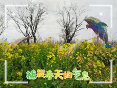 -东平国家森林公园