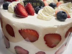 -维尔纳斯·生日蛋糕·动物奶油冰淇淋蛋糕(六里桥店)
