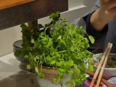 -牛村来人潮汕牛肉火锅(西单店)