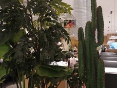 -卡朋西餐(大信新都汇店)