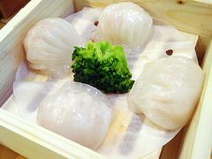 -石头咕(葵蓬店)