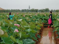 -漩门湾国家湿地公园