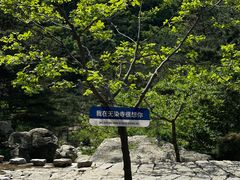 -无染寺
